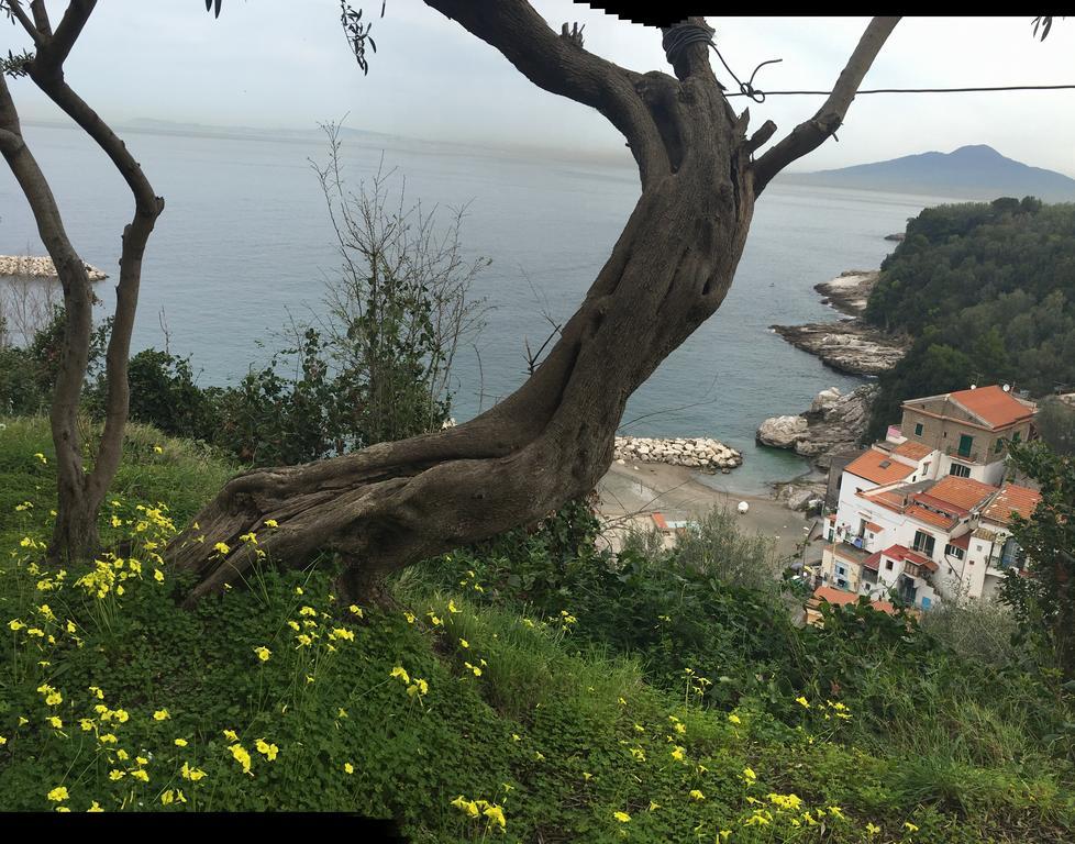 Villa Rosmary - Sorrento Coast - Gulf Of Naples View Ngoại thất bức ảnh