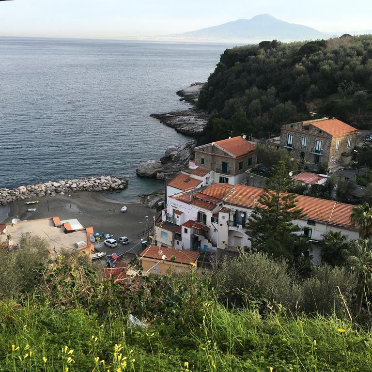 Villa Rosmary - Sorrento Coast - Gulf Of Naples View Ngoại thất bức ảnh